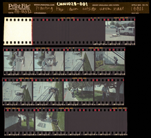 Photographs of Planting the lawn outside the union hall, Culinary Union, Las Vegas (Nev.), 1990s (folder 1 of 1)