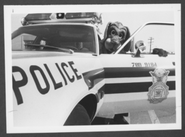 Photograph of person in a police dog costume in a police car, Nellis Air Force Base, Nevada, circa 1970s