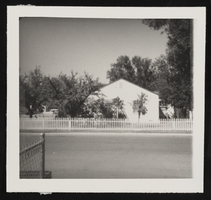 South view of Sylvia Adler residence: photographic print