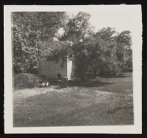 Sylvia Adler backyard: photographic print
