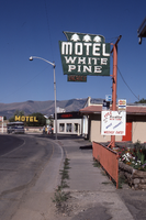White Pine Motel pylon sign, Ely, Nevada: photographic print