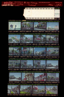 Photographs of Hilton Flamingo picketing, Culinary Union, Las Vegas (Nev.), 1990s (folder 1 of 1)