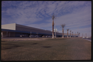 Color view of a building with grass and palm trees in the front.