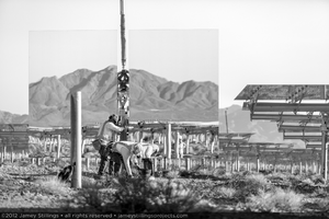 Photograph of workers installing a heliostat for Unit 1, June 4, 2012