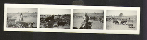 Four views of the cattle and cowboys at Walking Box Ranch, Nevada: photographic print