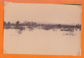Mojave Desert: photographic print