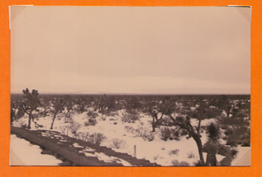 Desert scene at Walking Box Ranch, Nevada: photographic print