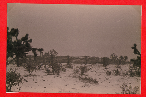 Mojave Desert view at Walking Box Ranch, Nevada: photographic print