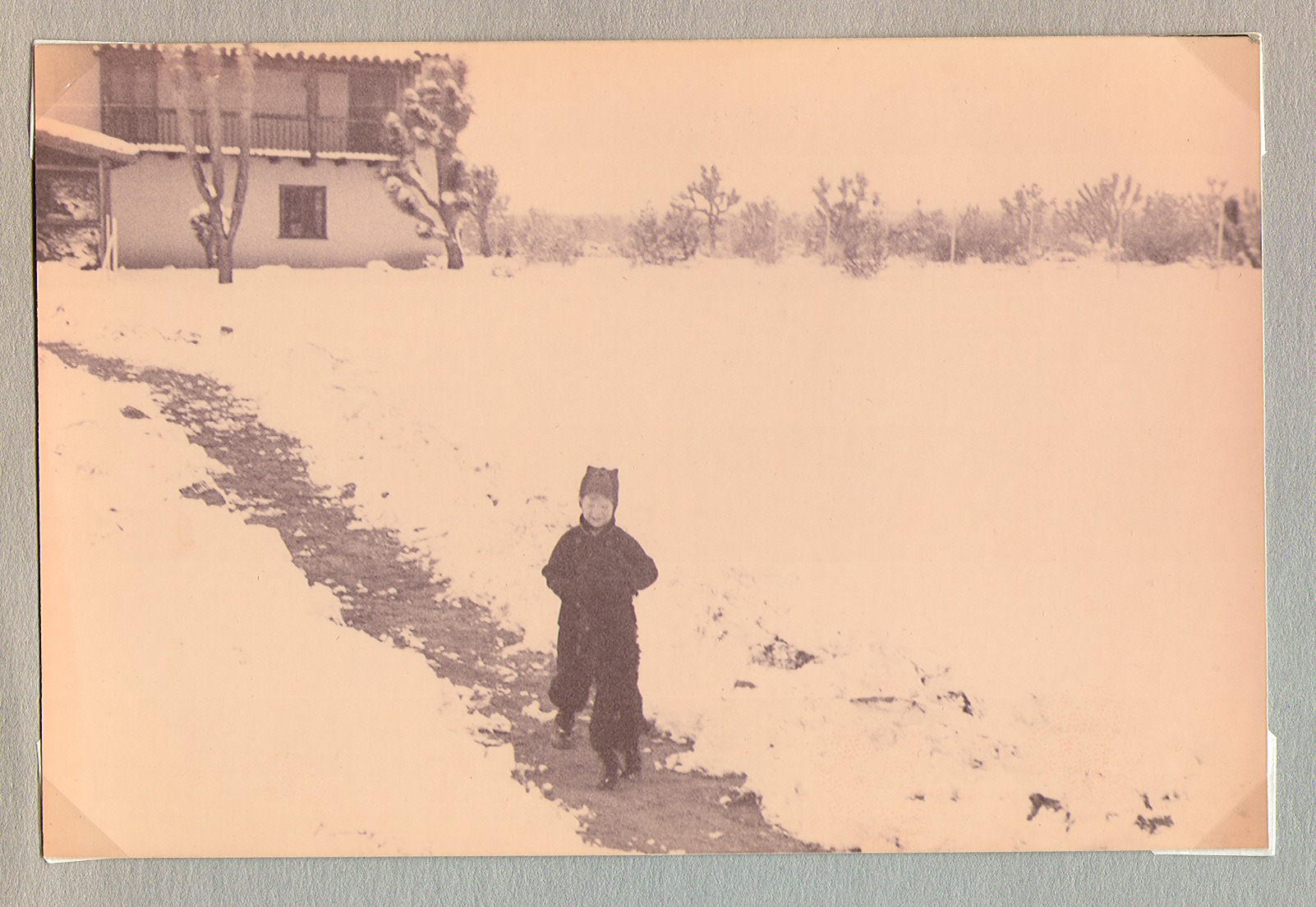 Rex Bell Jr. in the snow at Walking Box Ranch, Nevada: photographic print