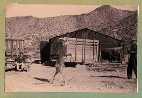 Billy, the mountain sheep and two unidentified men at Walking Box Ranch, Nevada: photographic print