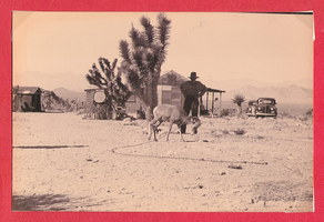 Man and goat, outbuildings, on the ranch: photographic print