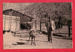 Unidentified man and goat on the ranch: photographic print
