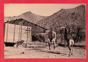 Unidentified man and goat on the ranch: photographic print