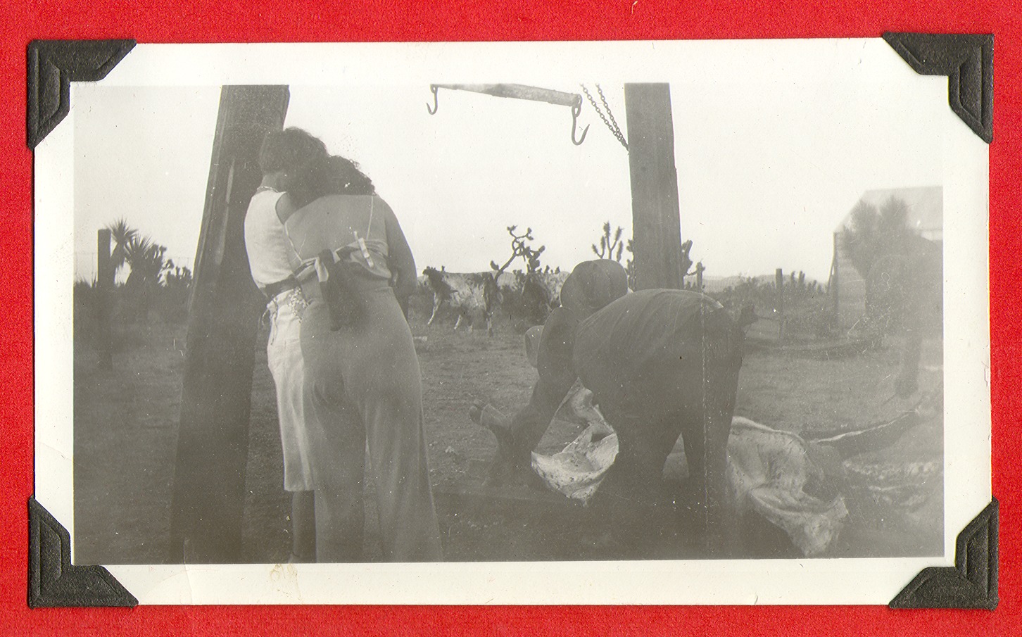 Two unidentified people skinning a cow at Walking Box Ranch, Nevada: photographic print