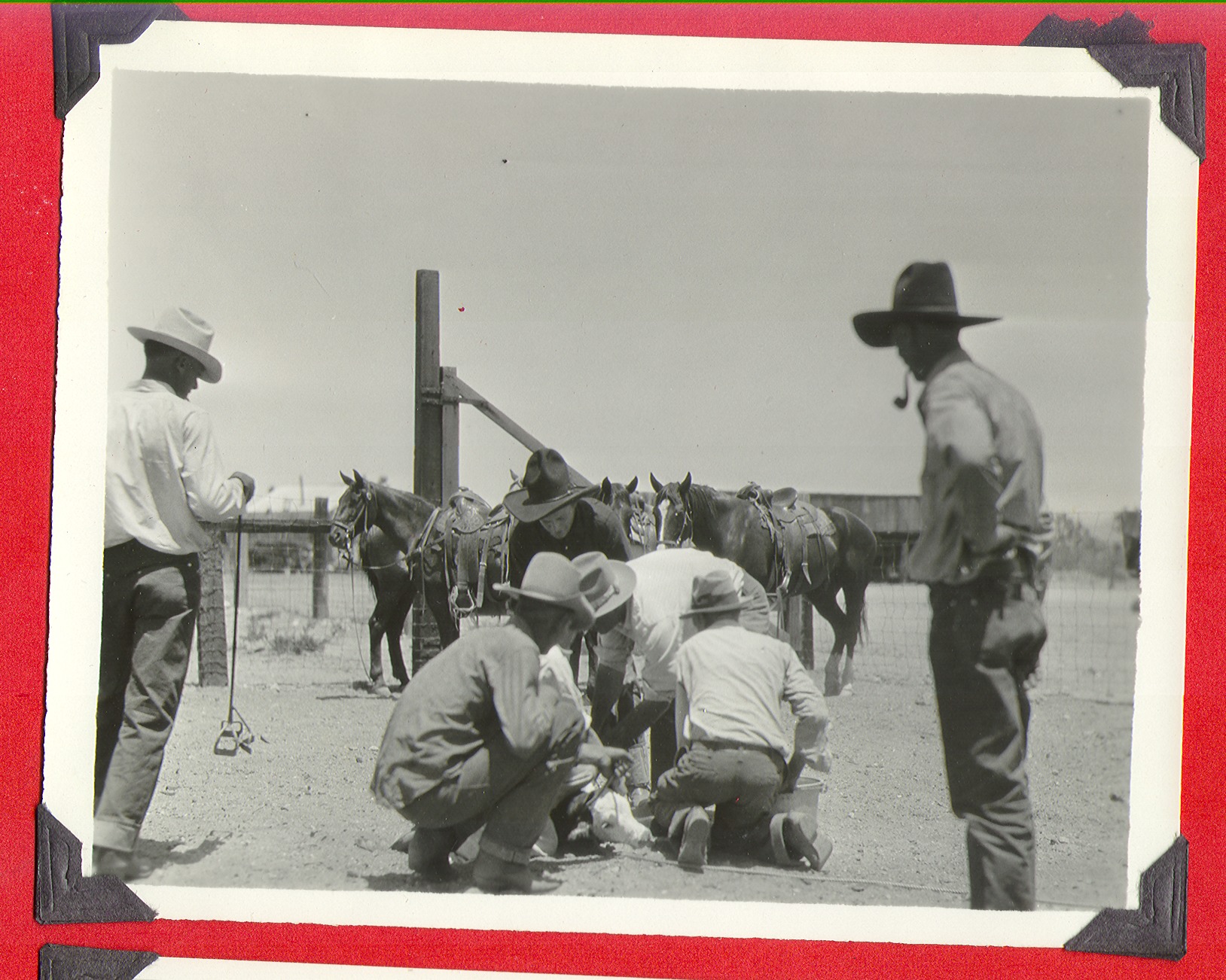 Cowboys and horses on the ranch-branding at Walking Box Ranch, Nevada: photographic print