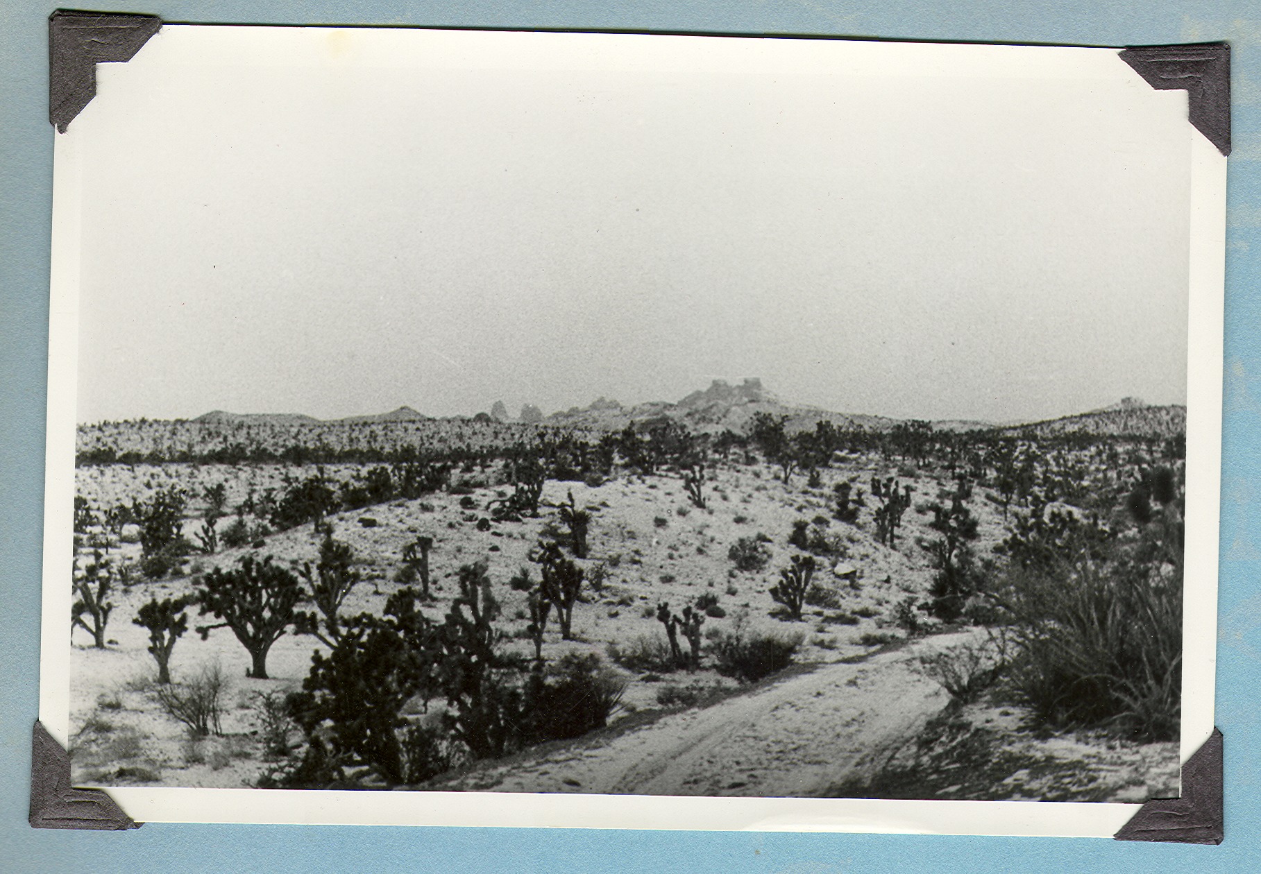 Desert snow scene in the Mojave Desert: photographic print