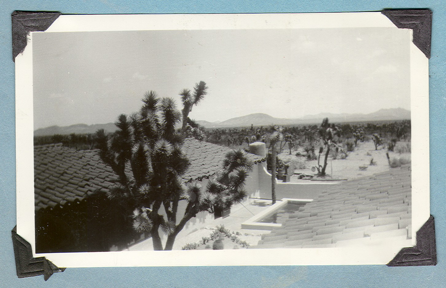 View of rooftops, desert and mountains in distance: photographic print