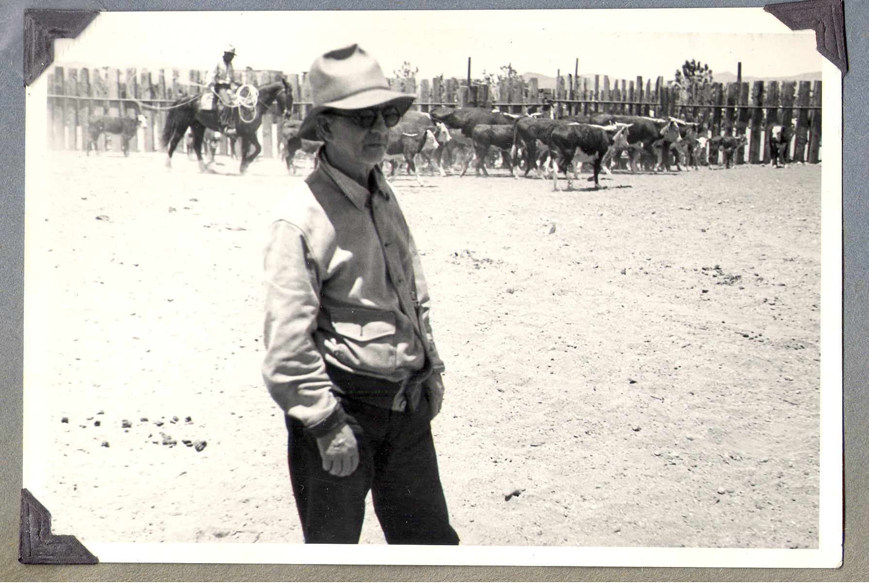 Robert (King) Bow with a cowboy and cattle in a corral at Walking Box Ranch, Nevada: photographic print