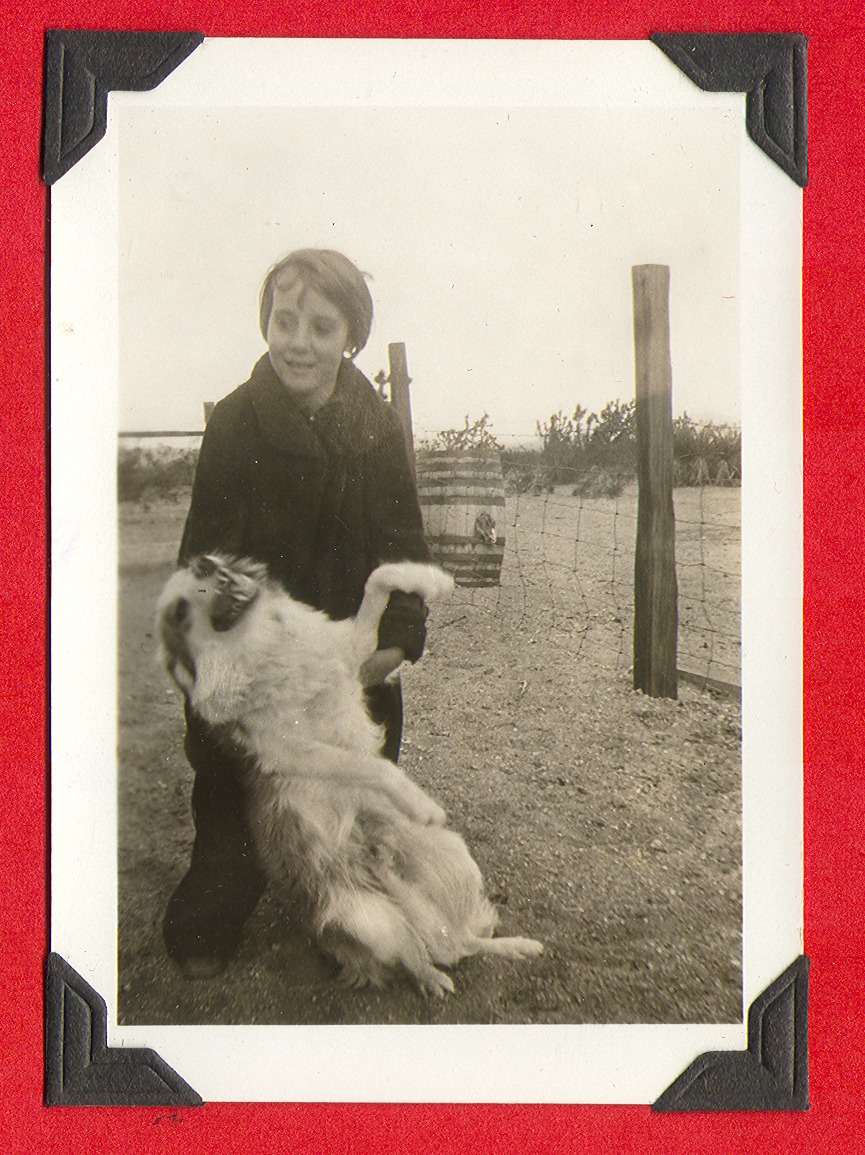 Unidentified child with a dog: photographic print