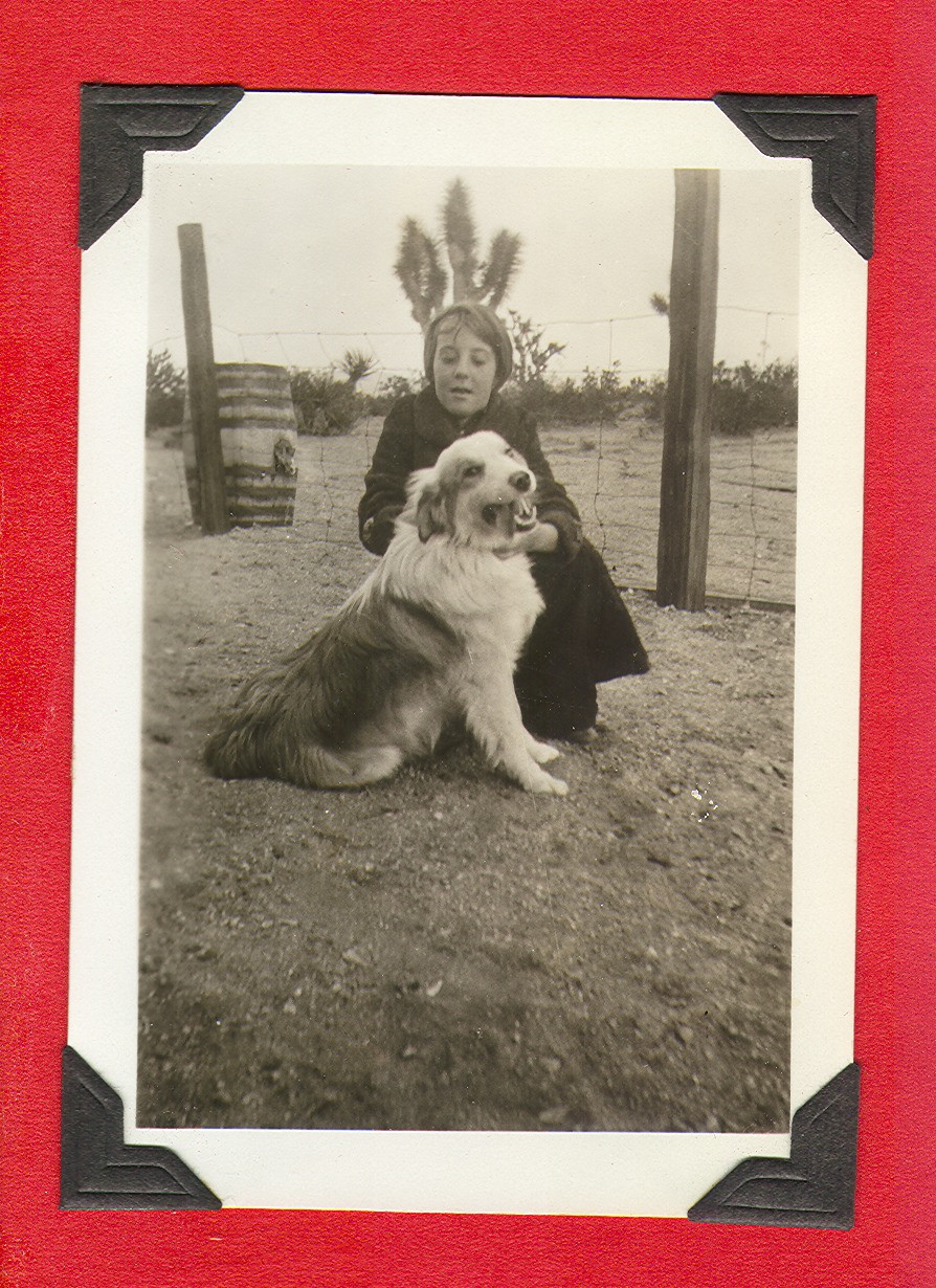 Unidentified child with dog at the ranch: photographic print