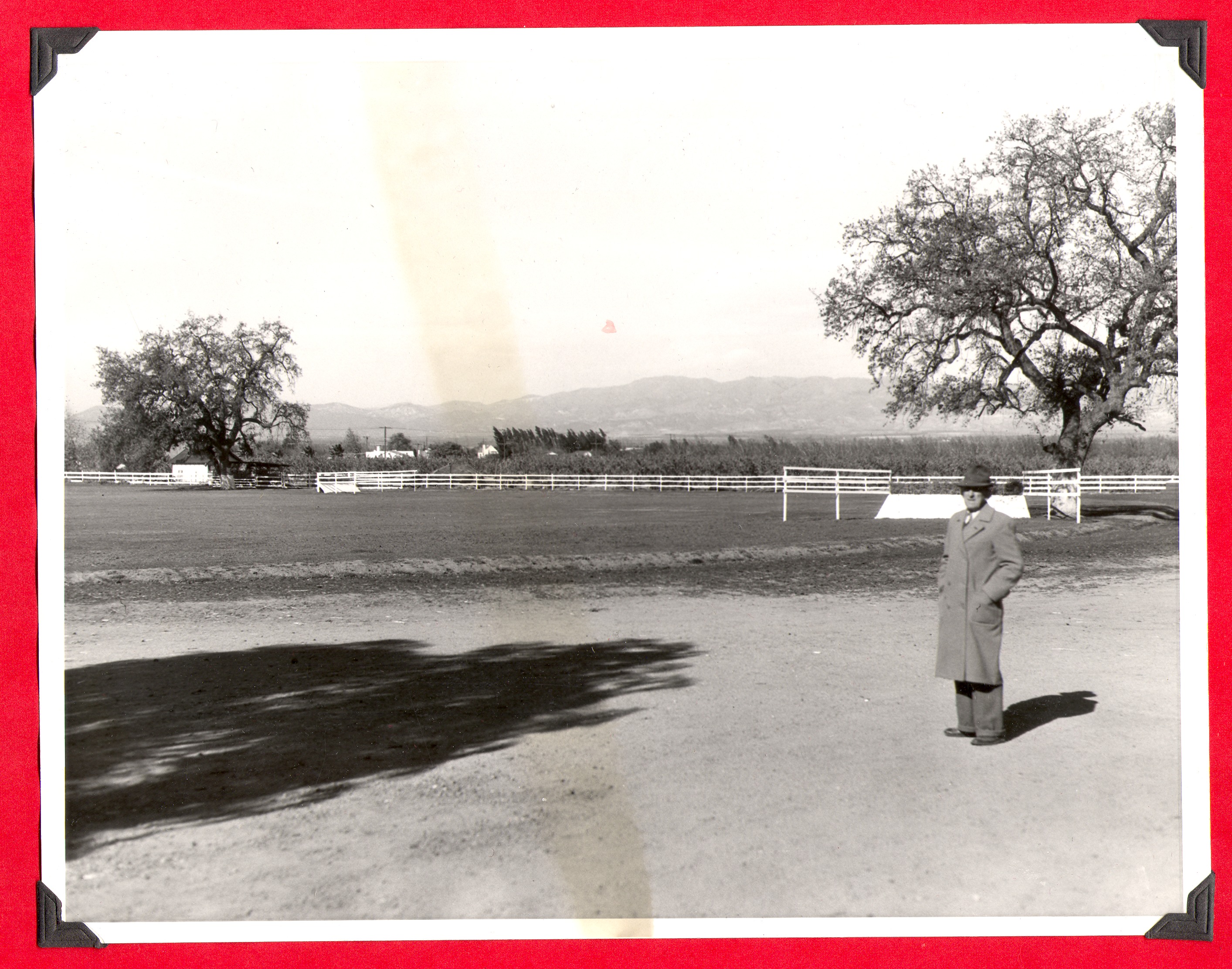 Unidentified man at the stables where Bell's race horse was kept: photographic print