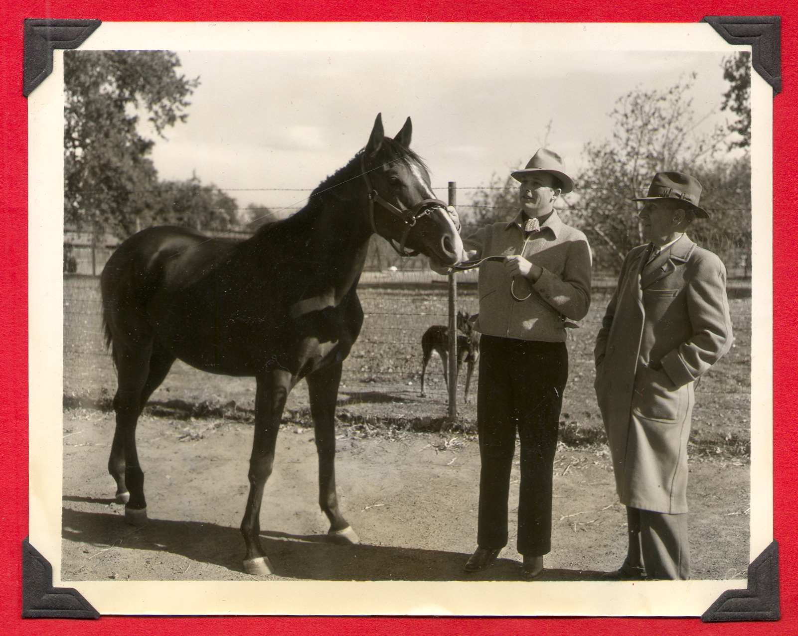 Two men with Rex Bell's race horse: photographic print