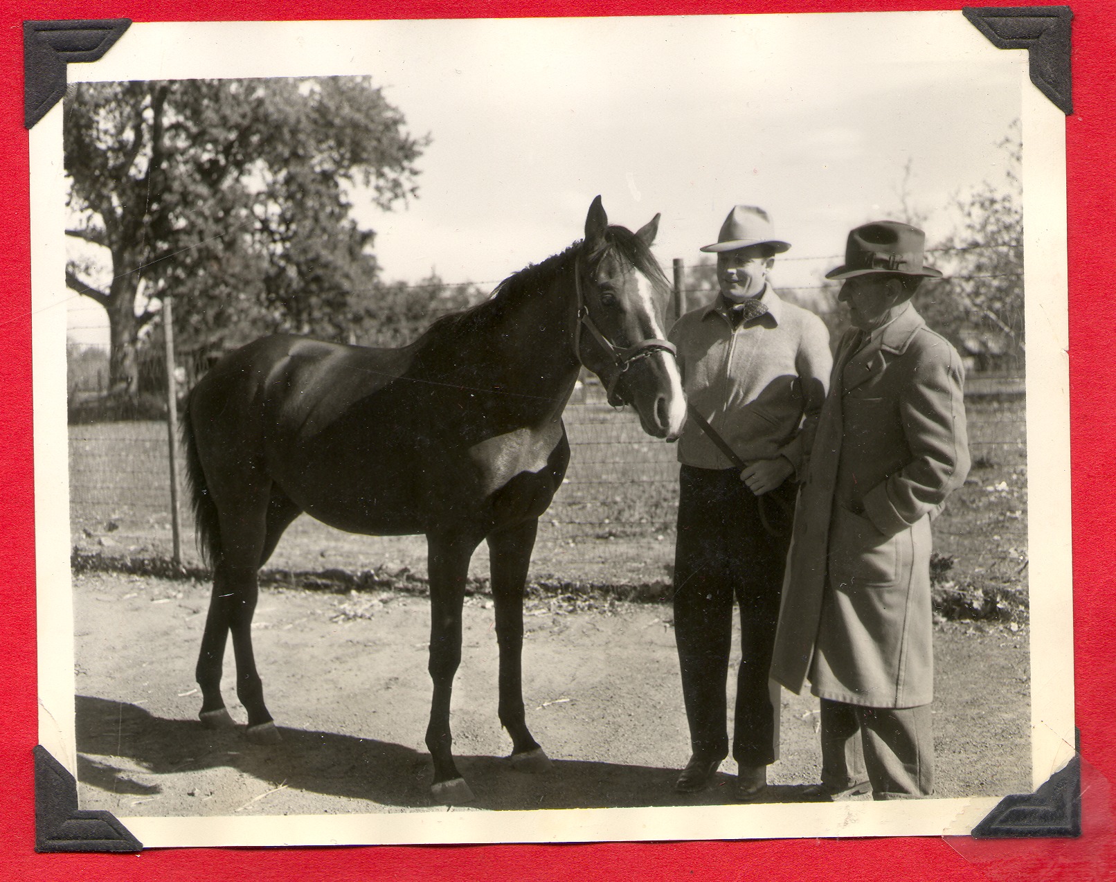 Two men with Rex Bell's race horse: photographic print