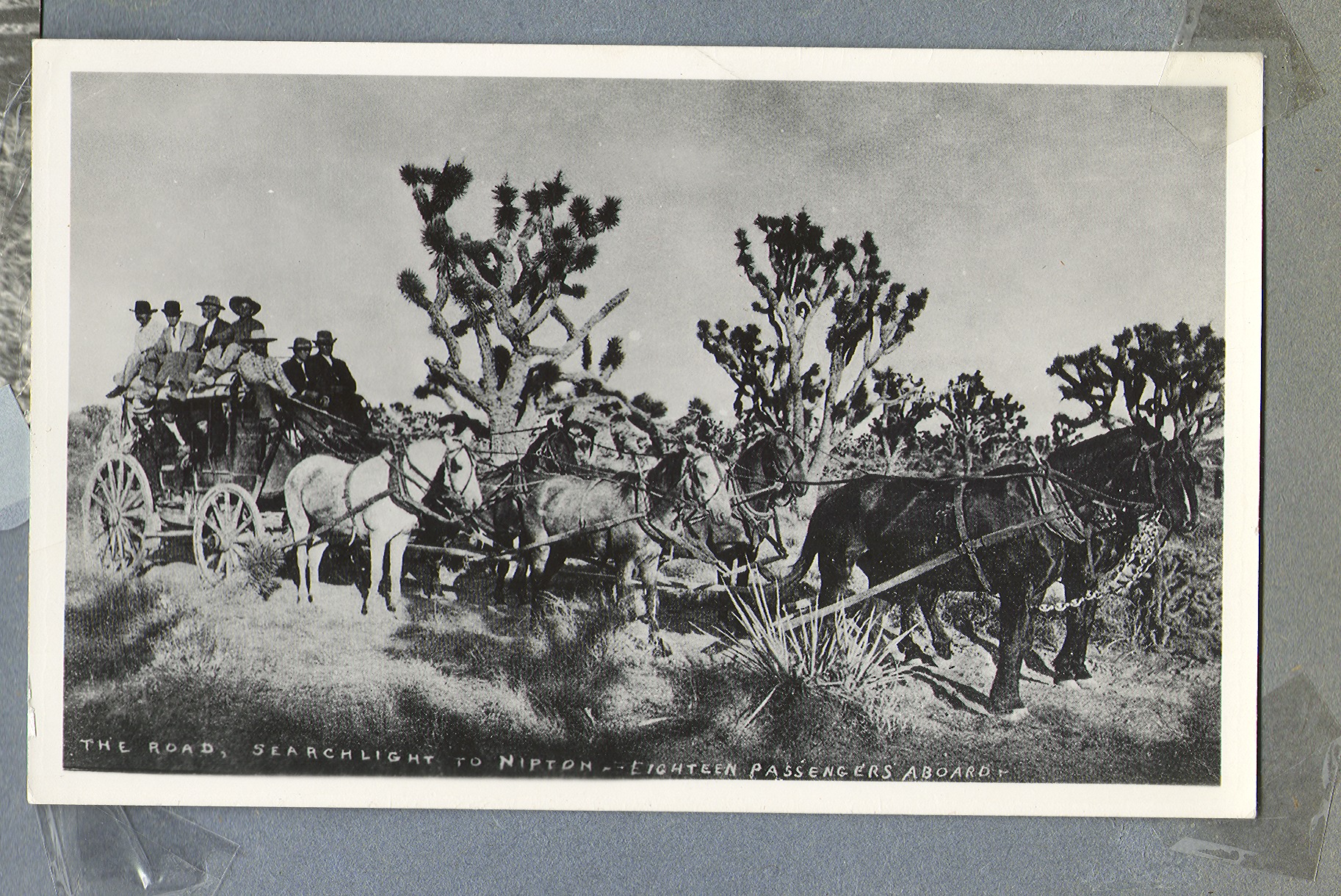 The road, Searchlight to Nipton, fourteen passengers aboard a horse-drawn cart. (postcard?)