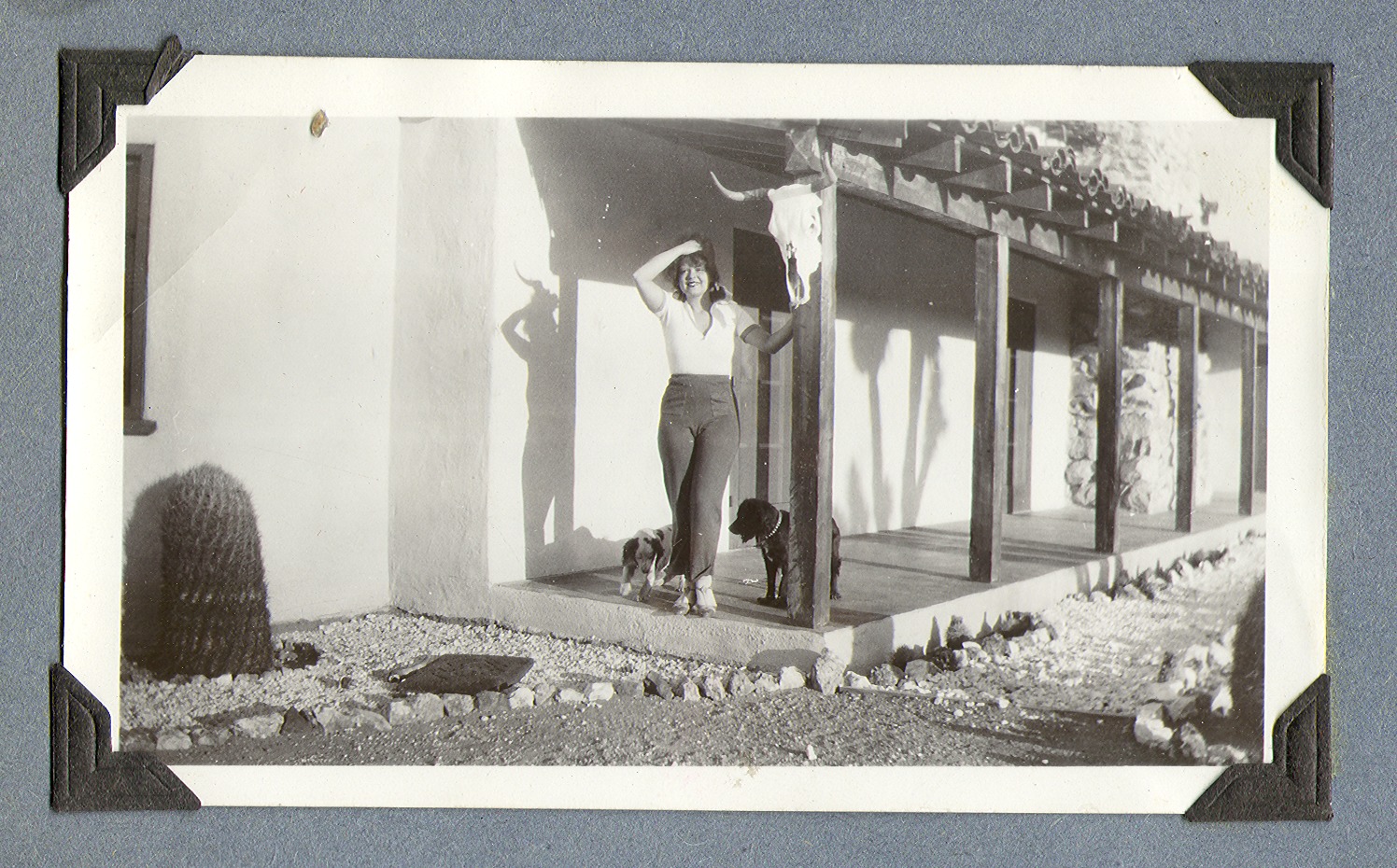 Clara and two dogs on the covered patio at Walking Box Ranch: photographic print