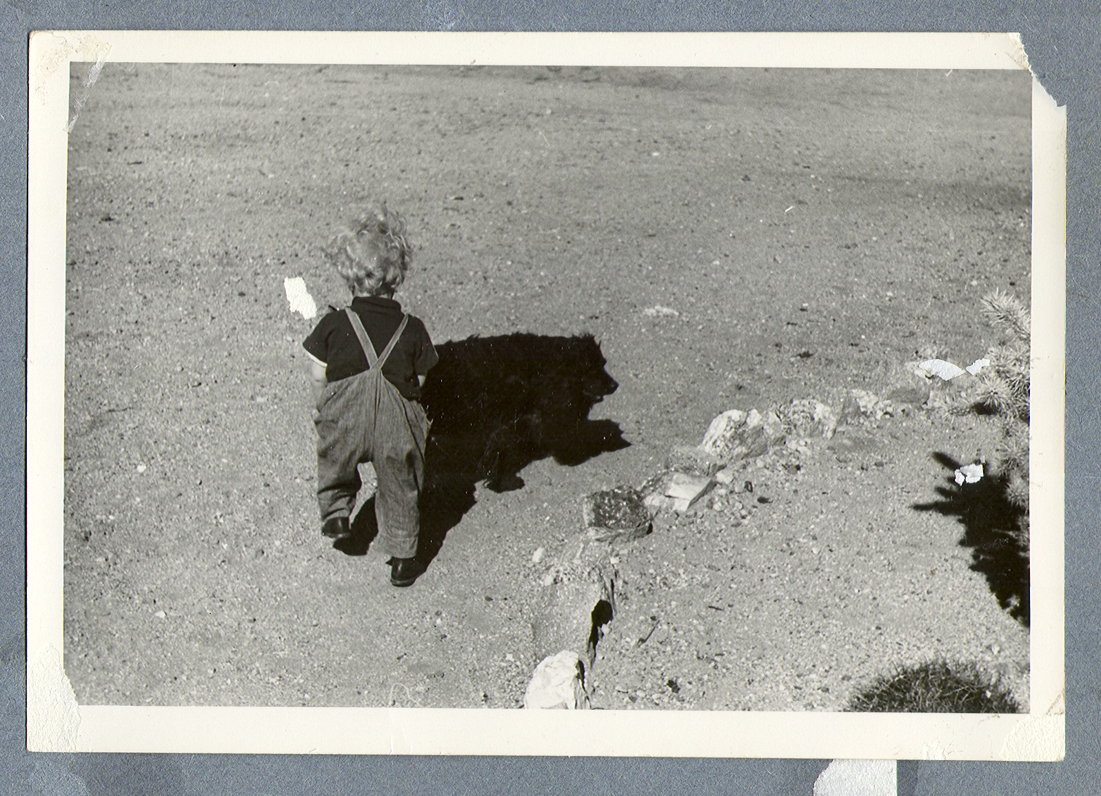 Rex Bell Jr. at Walking Box Ranch, Nevada: photographic print