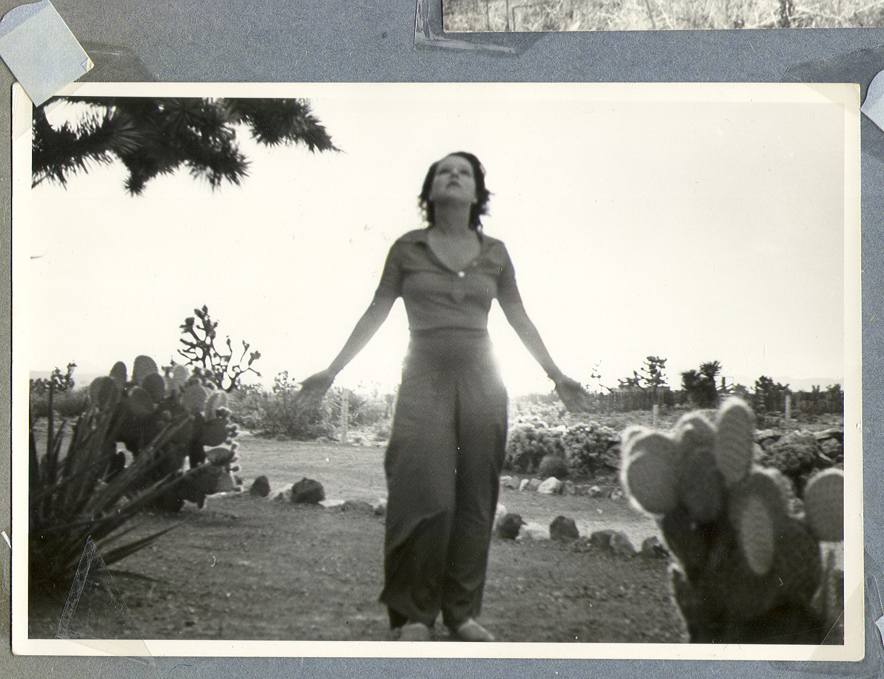 Clara Bow Bell in her desert garden at Walking Box, Ranch: photographic print