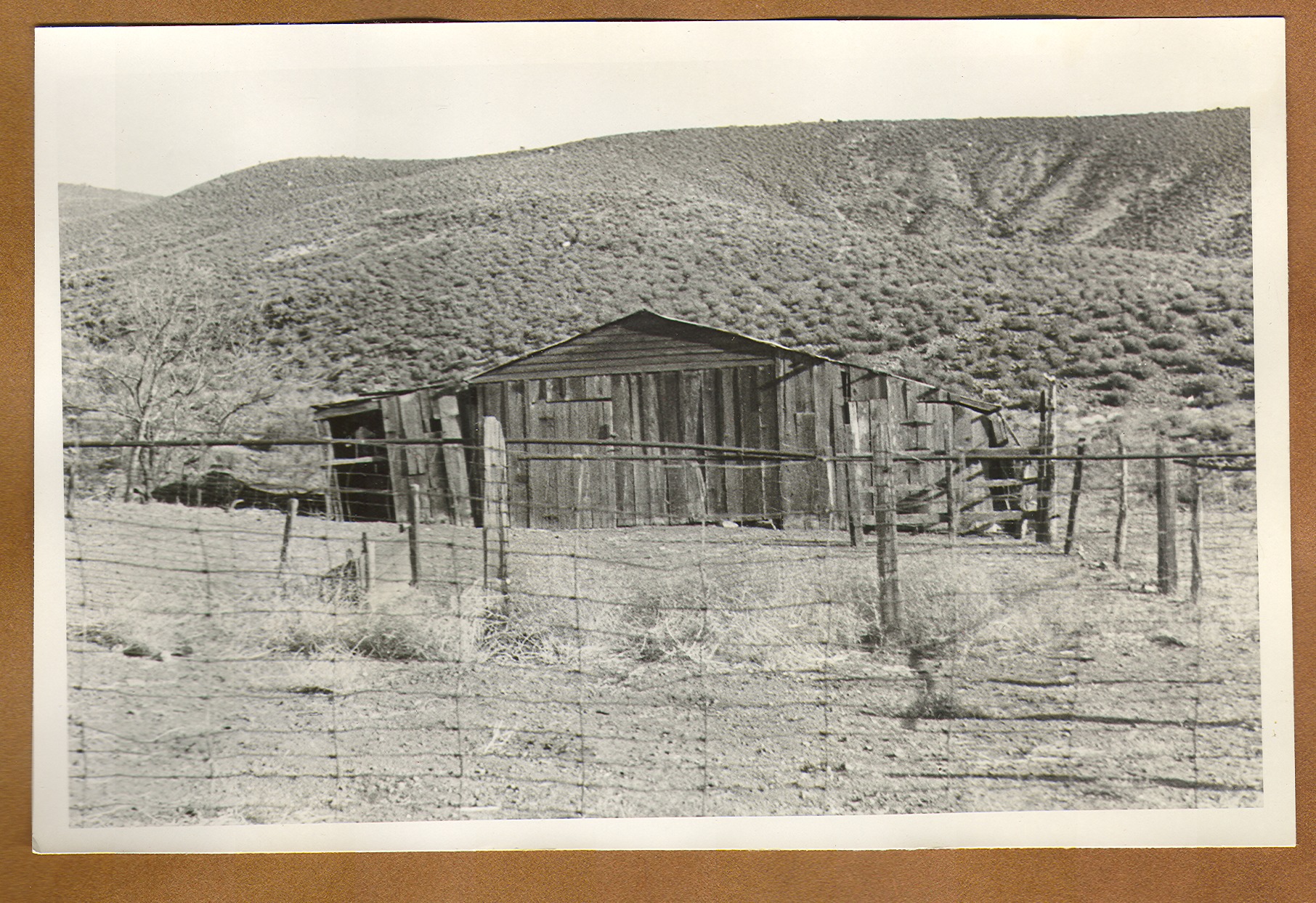 An outbuilding at Walking Box Ranch, Nevada: photographic print