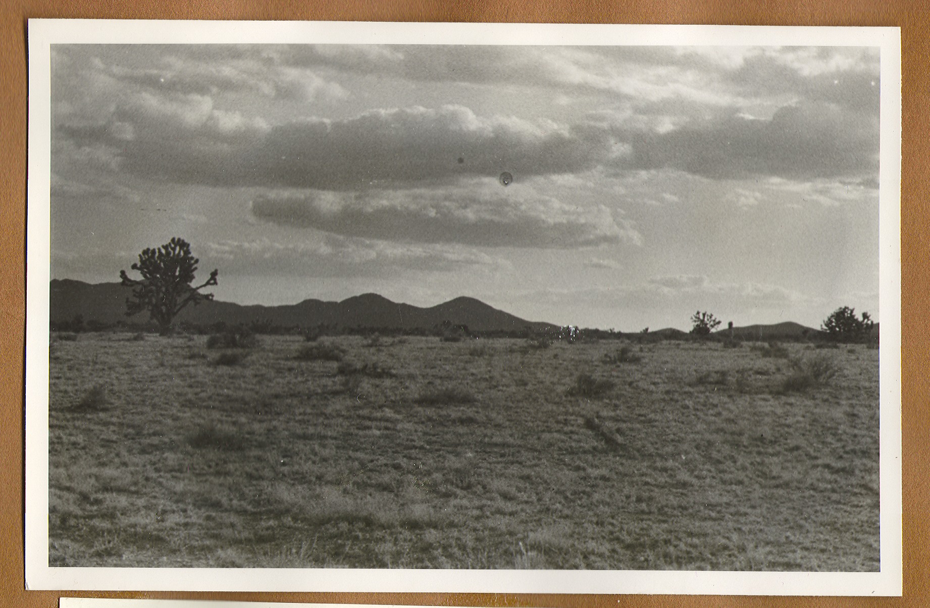 Desert view on the ranch property: photographic print