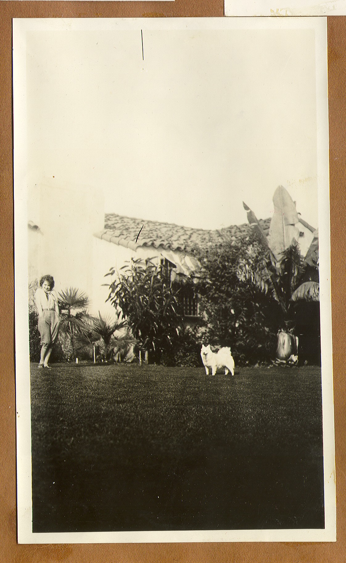 Clara and dog on the lawn at the ranch house: photographic print