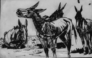 Cartoon of Mules: drawing