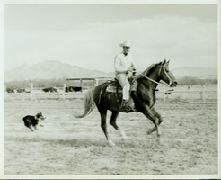 Rex Bell (George Francis Beldam) on horseback at unknown location.  Horse's name is Buddy.  His Australian Shepherd' Teddy Bear' is also pictured
