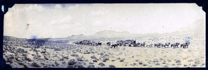 Photograph of packtrains and buggies crossing desert, Tonopah (Nev.), early 1900s