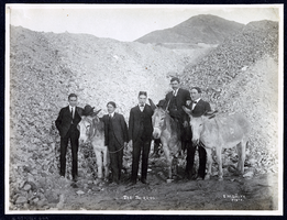 Photograph of five men with burros, Goldfield (Nev.), early 1900s