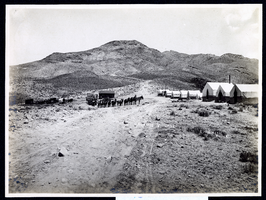 Photograph of mining camp with packtrain, Goldfield (Nev.), early 1900s