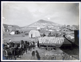 Photograph of ore sacks loading onto Tonopah freight yard, Tonopah (Nev.), early 1900s