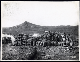 Photograph of people with sacks of ore at Combination Mine, Goldfield (Nev.), early 1900s