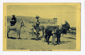 Postcard of boys with mules and carts in the Goldfield mining camp, Goldfield (Nev.), 1900-1925