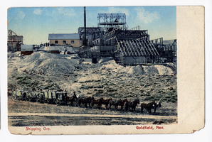 Postcard of teams hauling ore, Goldfield (Nev.), 1900-1925