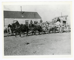 Photograph of stagecoaches passing through southern Nye county (Nev.), 1900-1925
