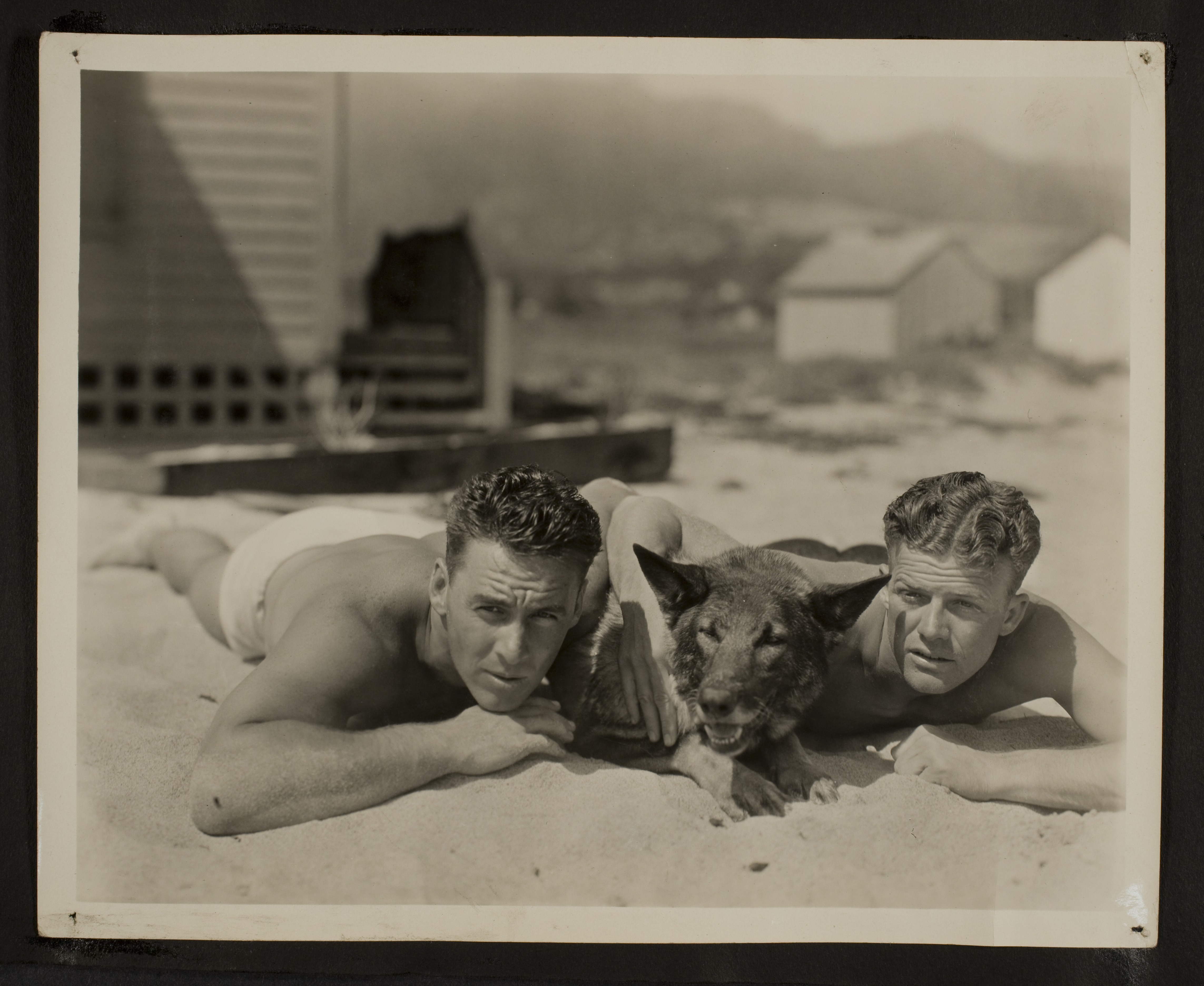 Rex Bell (George Francis Beldam) and German Shepherd (Boco) with unidentified man on beach: photographic print