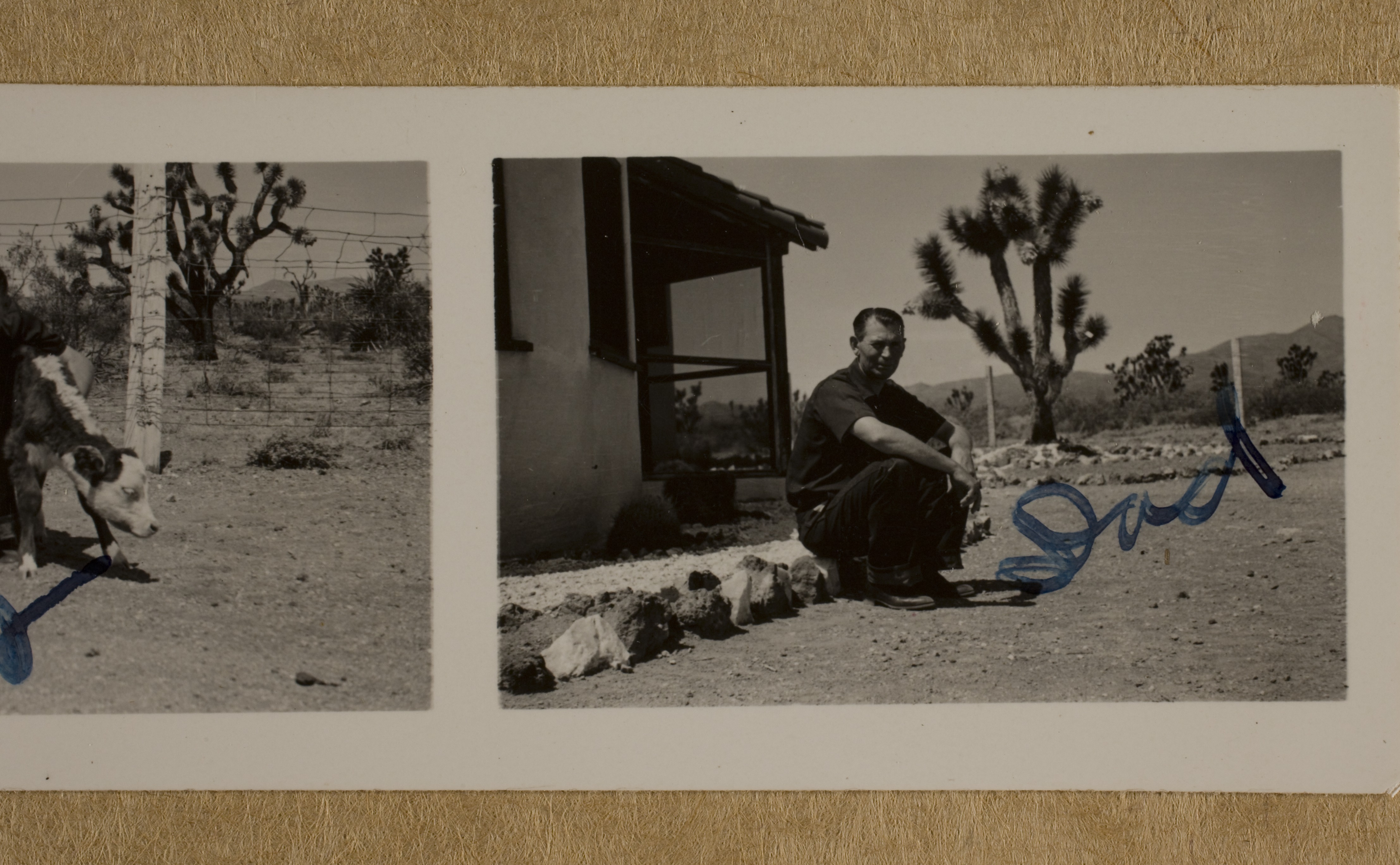 Unidentified man at bunkhouse at Walking Box Ranch, Nevada: photographic print
