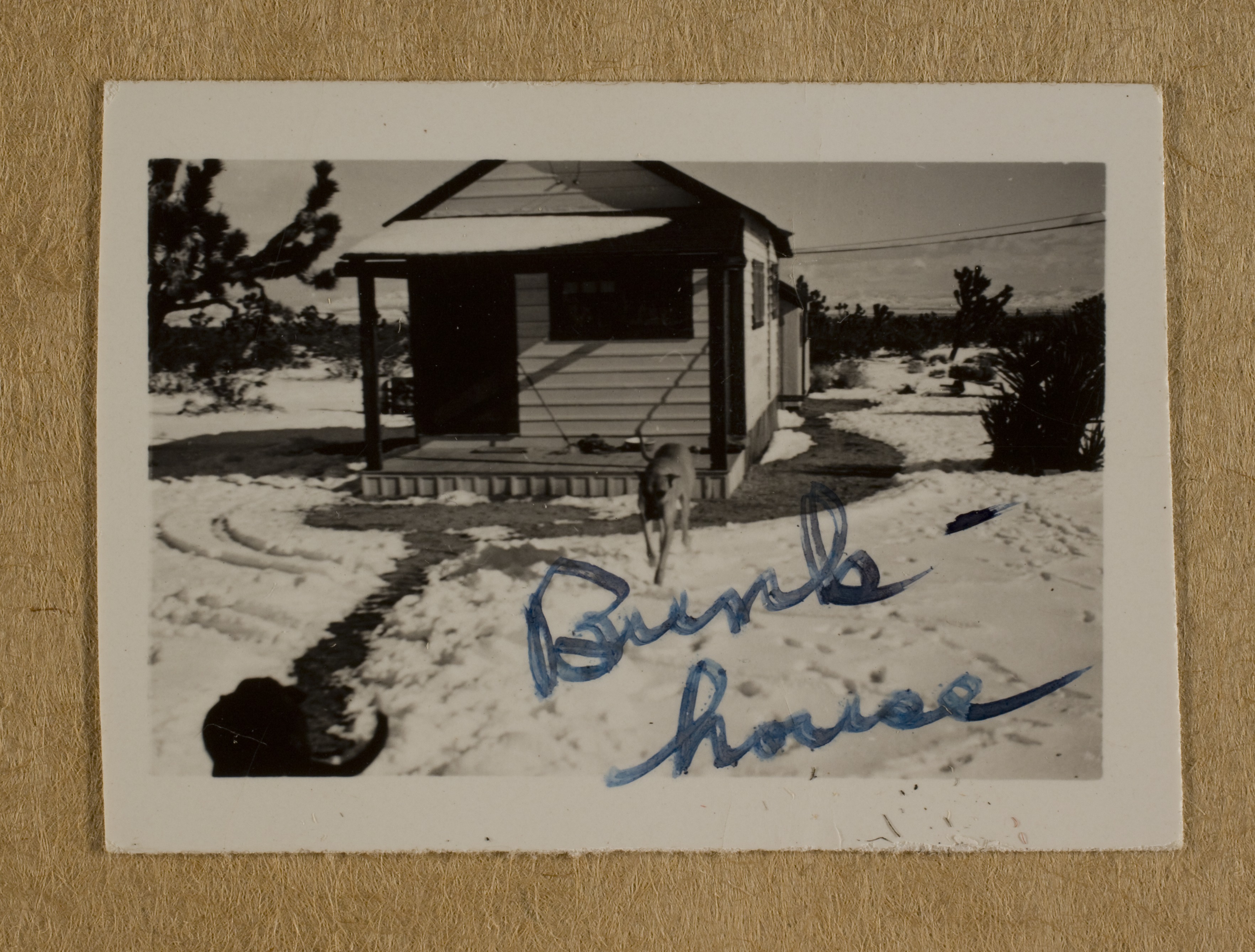 Guest house at Walking Box Ranch, Nevada: photographic print
