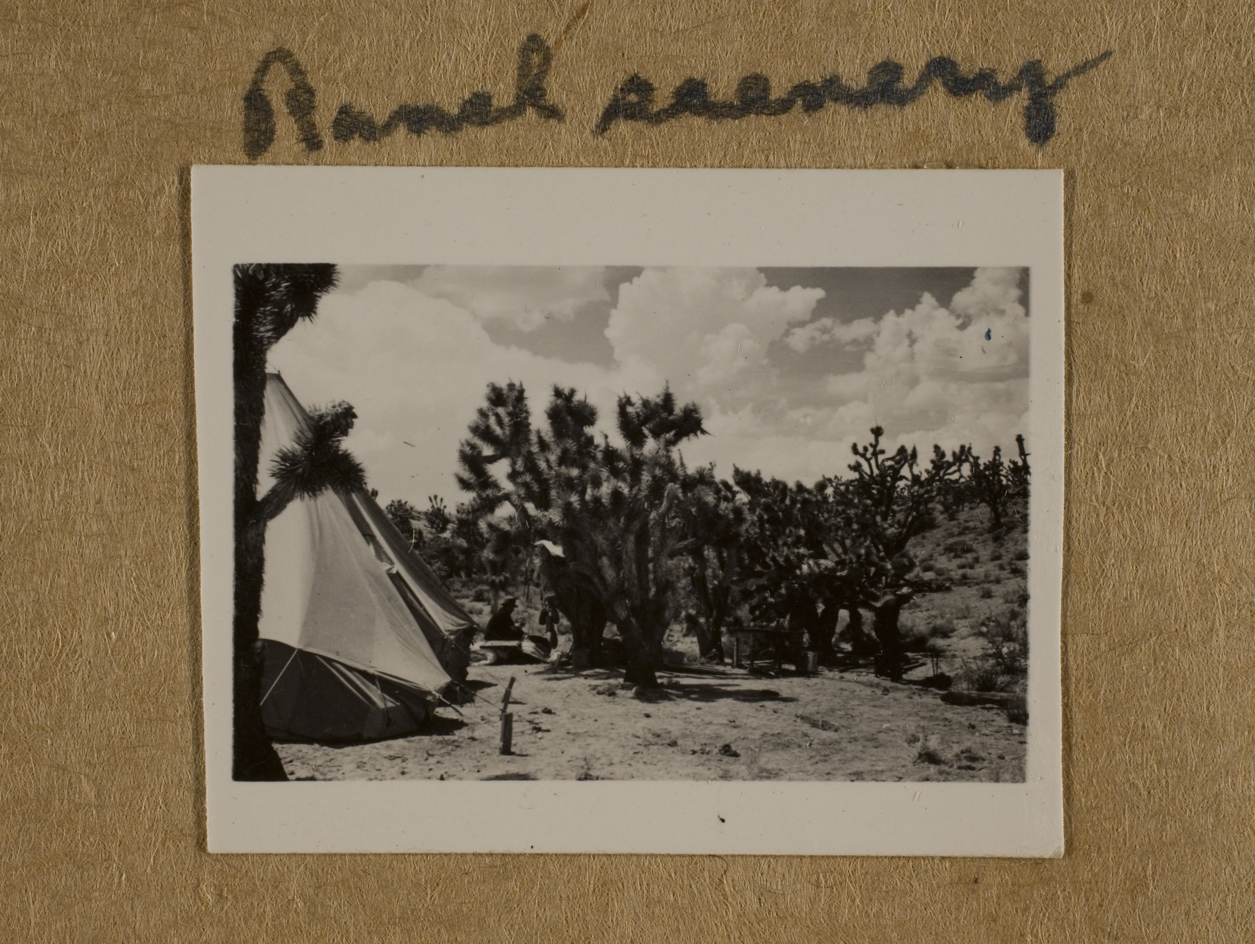 View of Mojave Desert near Walking Box Ranch, Nevada, tent and unidentified man: photographic print