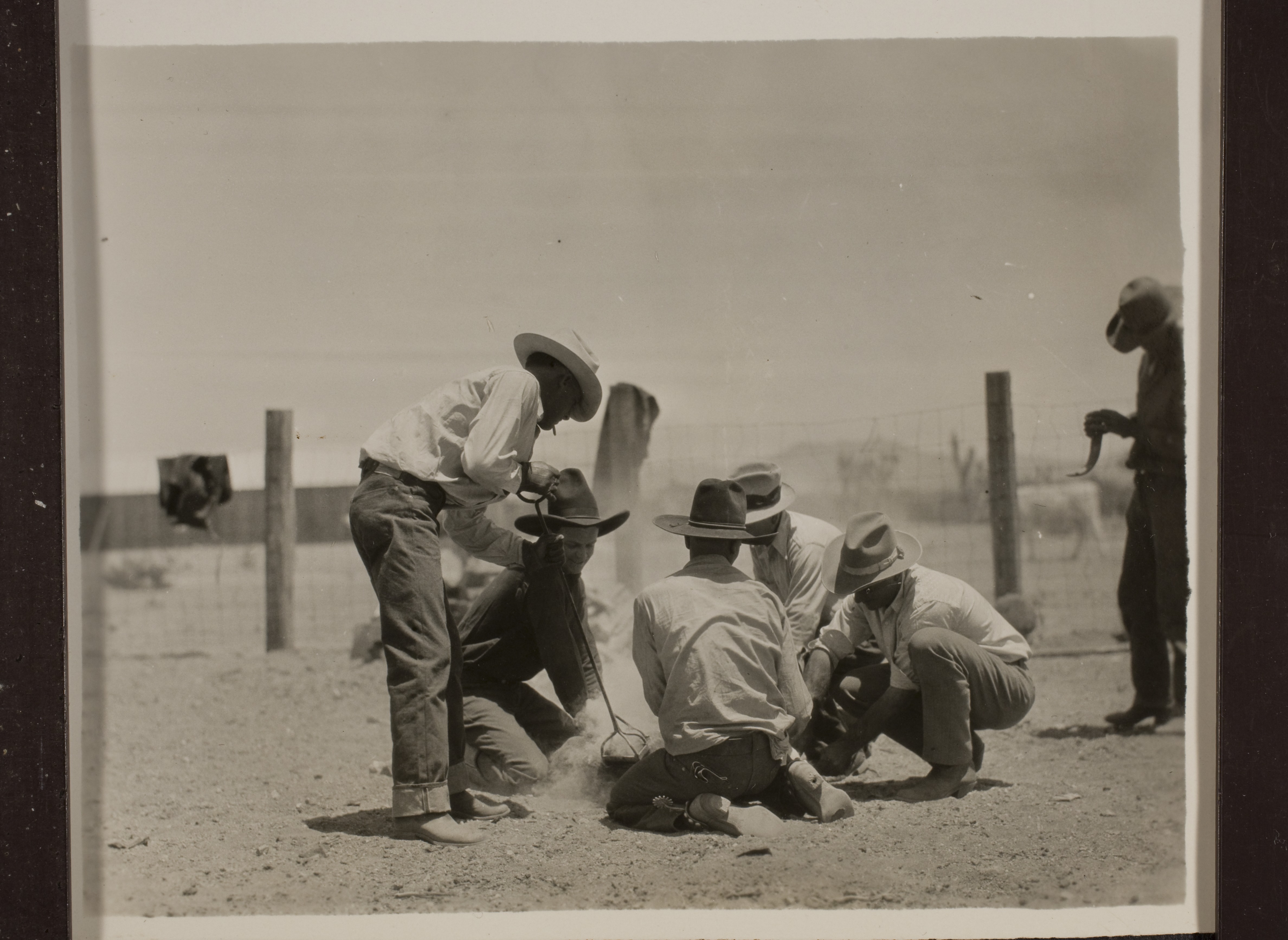 Cowboys at Walking Box Ranch, Nevada branding cattle.  Rex Bell (George Francis Beldam) is second from the left: photographic print