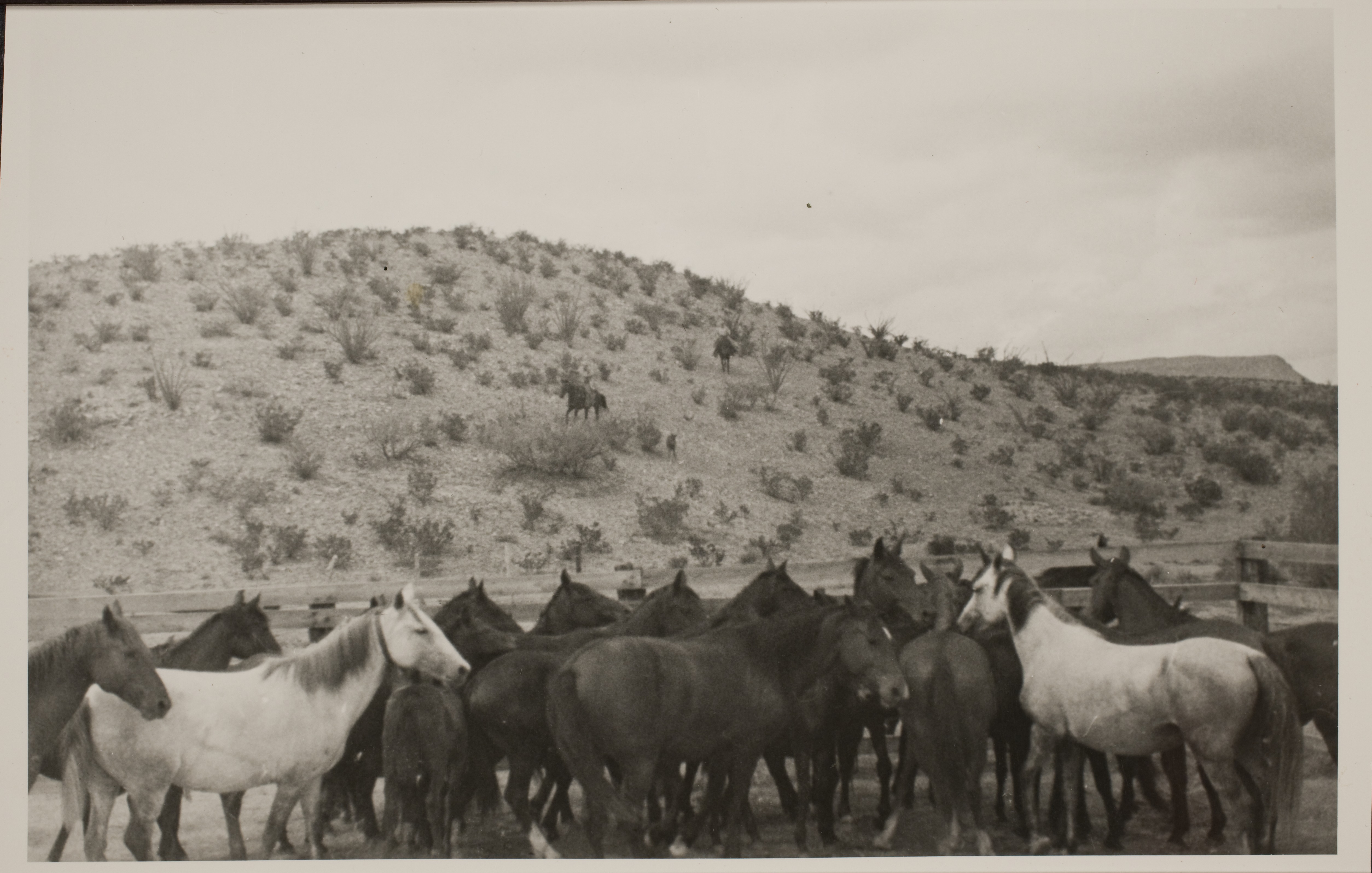 Horses and two cowboys in the desert: photographic print